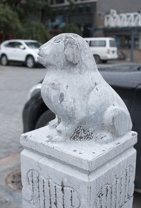 ������ͷ����