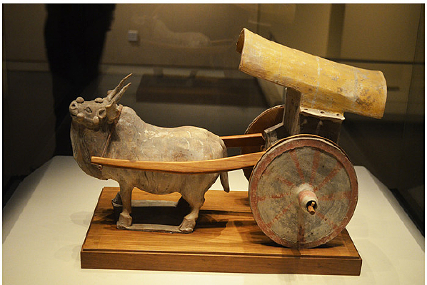 ����ţ��������