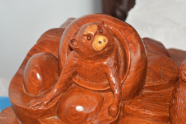 ���Ӻ�ľ���