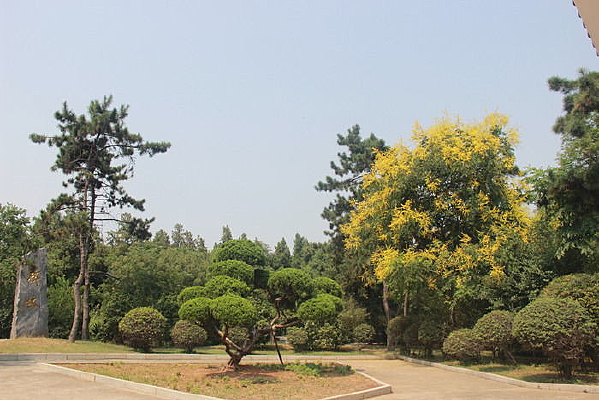 ����ս����ʿ����԰�ַ��