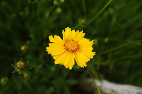 ���ľպͻ���