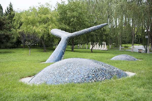 ������������