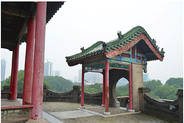 ��ʤͤ�Ž���