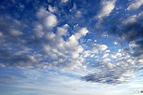 ������Ʒ��