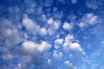 ������Ʒ羰