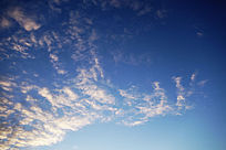 ������Ʒ羰