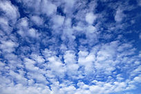 ������ƾ���