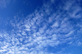 �������Ʈ