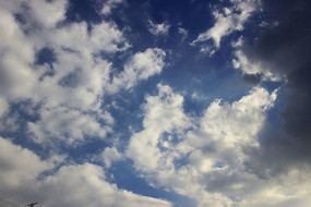 �����Ʋ���Ӱ