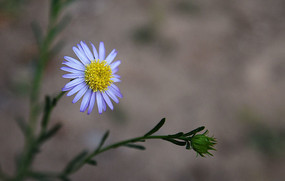 ��Ұ�պͻ���