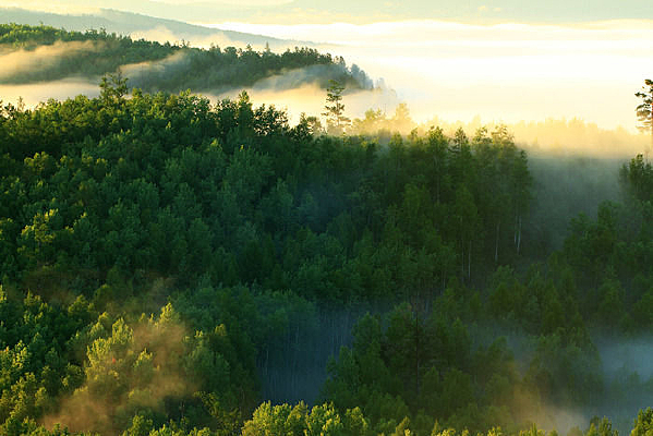 �������ֺ�����