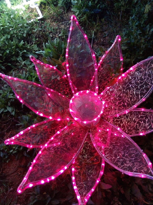 ����������չ