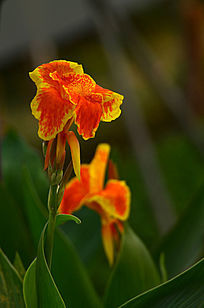 ���˽�����ͼƬ