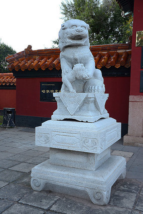 ĸʯʨ�ӵ���