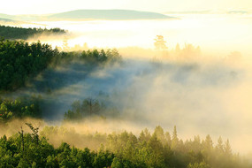 ɽ�ֳ������