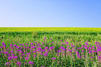 Ұ������