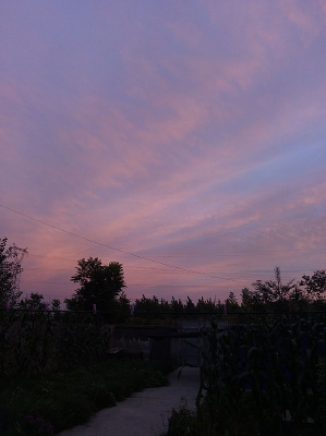 ��ϼ����