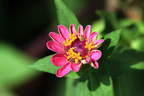 �����°뿪�۰��ղ�