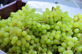 һ��������Ӱͼ