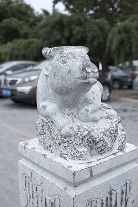 ��ͷţ��������