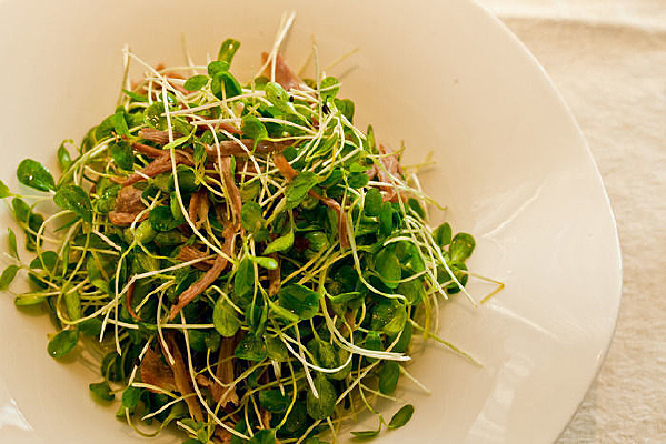 ⾹������˺⻛��