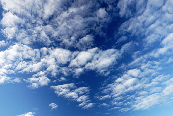 �̿�����