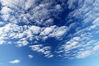 �̿�����