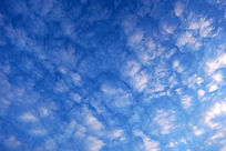 ��ɫ���ƶ�