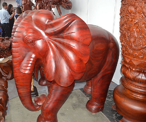 �����ľľ��