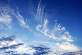 ��翵��ƶ�