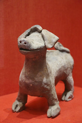 �����ʻ���չ�