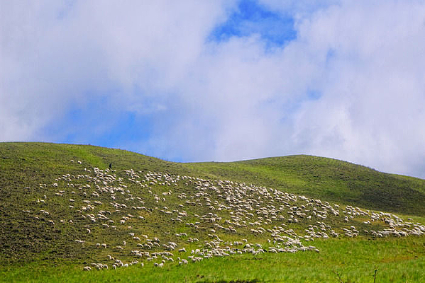 ��ɽ������Ⱥ