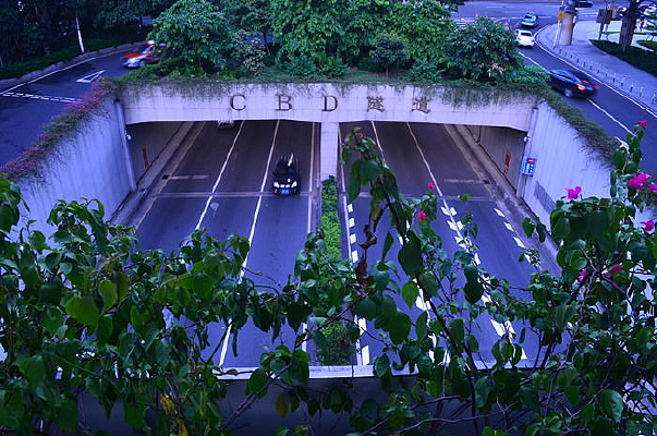 ��ͨ��·�����羰ͼƬ