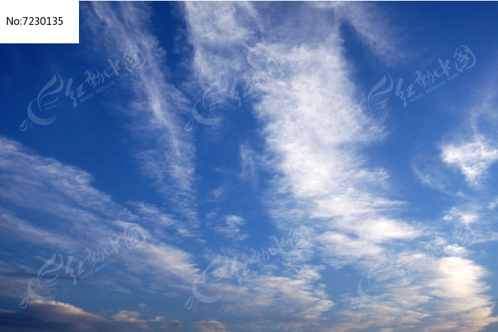 ������Ʒ��ͼƬ