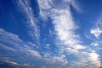 ������Ʒ��