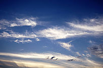 ������ƾ���