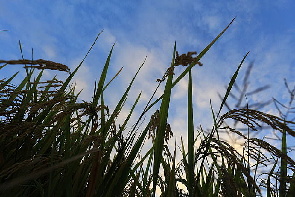 �����µĵ���