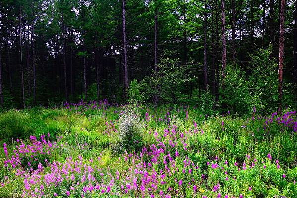 ��������������