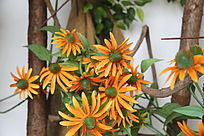 ���˾����ϻ�