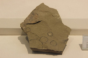 �����ϳ滯ʯ