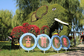 �ݵ��ϵļ��������뾰����