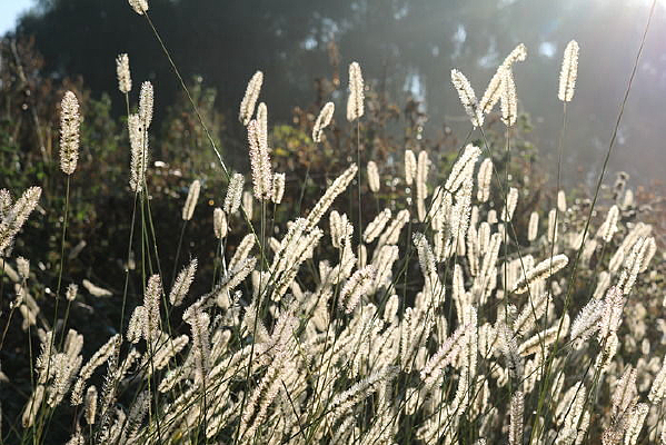 �����еĹ�β��