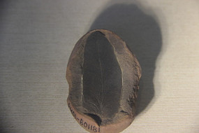 ������ݻ�ʯ