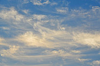 ���е��ƶ�