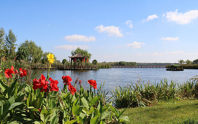 �������Ϸ��