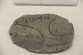 ¬���й�ʼ���ٺϻ�ʯ