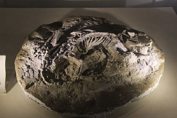 ǿ׳���޻�ʯ