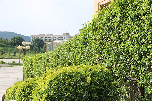 ѧУ���̻���