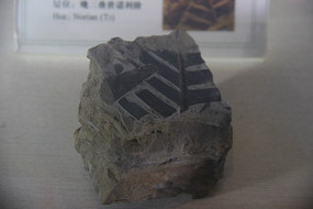 Ү�����Ҷ��ʯ