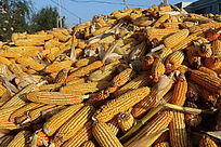 һ������